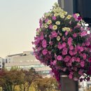 SUN당구장 이미지