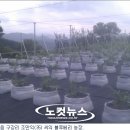 씨웰빙하우스 이미지