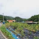 통영자갈마당 이미지