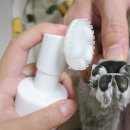 바른독 | 더독 강아지 발바닥 보습제 / 더독 강아지 발바닥...추천 !/ 세정과 촉촉함을 동시에 ! / 내돈내산 후기 ><