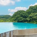 코타제주 이미지