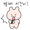 러브썸쿠키