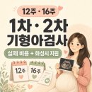 화성1차A경로당 | [임신일기] 임신 12주·16주 1차 2차 기형아검사 후기｜비용과 화성시 지원 신청