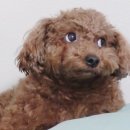 선한이치과의원 이미지