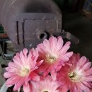 박달농장 이미지