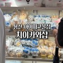 이과장몰 | 치이카와샵 용산 아이파크몰 일본 안 가도 치이카와...천국 갈 수 있어요 또 지갑털린 후기 용산데이트코스