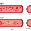 세포농장 이미지