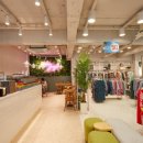 크로커다일레이디 이미지