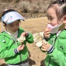 보성은하유치원 이미지