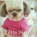 허* - 미추홀구 수봉남로6번길 84 | 허*