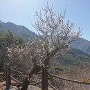 더케이지리산가족호텔 앞 이미지