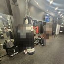 심재복싱 이미지