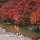 광장39호 이미지