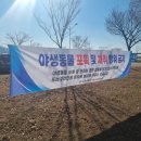 유채인력 이미지