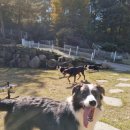 박순호의 아이슬란드 이미지