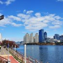 수영강변 이미지