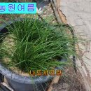 여름농원 - 춘천시 솟발1길 56-8 | 여름농원