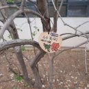 동평중학교 (25.4월9일) 이미지