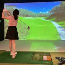 알프스 스크린골프존 이미지