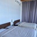 펜톤나인 이미지