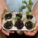 내지농장 이미지