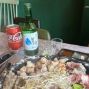 볼로그 이미지