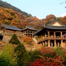 평일야 이미지