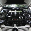 모든오일 이미지