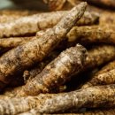 전북인삼협동조합 이미지