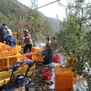 영양읍사무소 이미지