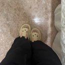 하이네일래쉬