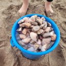 민지네 민박 이미지