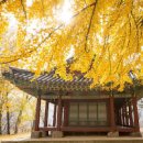 반쟁이공원 이미지