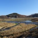 원주굽이길 9코스 스무산둘레길 이미지