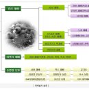 블루베리 재배법 분류 이미지