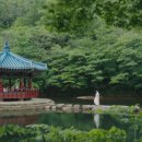 유향소 이미지