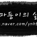 체띠아 네이버블로그
