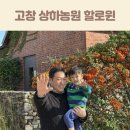 신기농원 | 고창 상하농원 할로윈 입장료 동물 체험 고구마 수확 후기