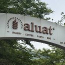알루엣(Aluat)