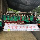 율치경로당 네이버블로그