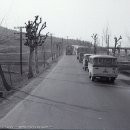 안양육교삼거리 이미지