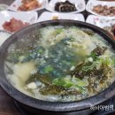 초록다슬기