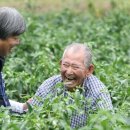 단양노인복지관 이미지