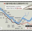 하남-신장-신장9호 이미지