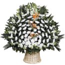 곡성-057 이미지