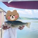 아마존실내낚시터 | 충남 예산 예당저수지 낚시회관좌대 27개월 아기랑 1박2일 도전!!!