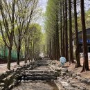 칠갑산자연휴양림 이미지