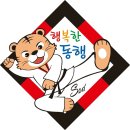 한국체대 석사 태권도장 이미지