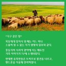 양