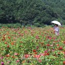 하양읍내 이미지